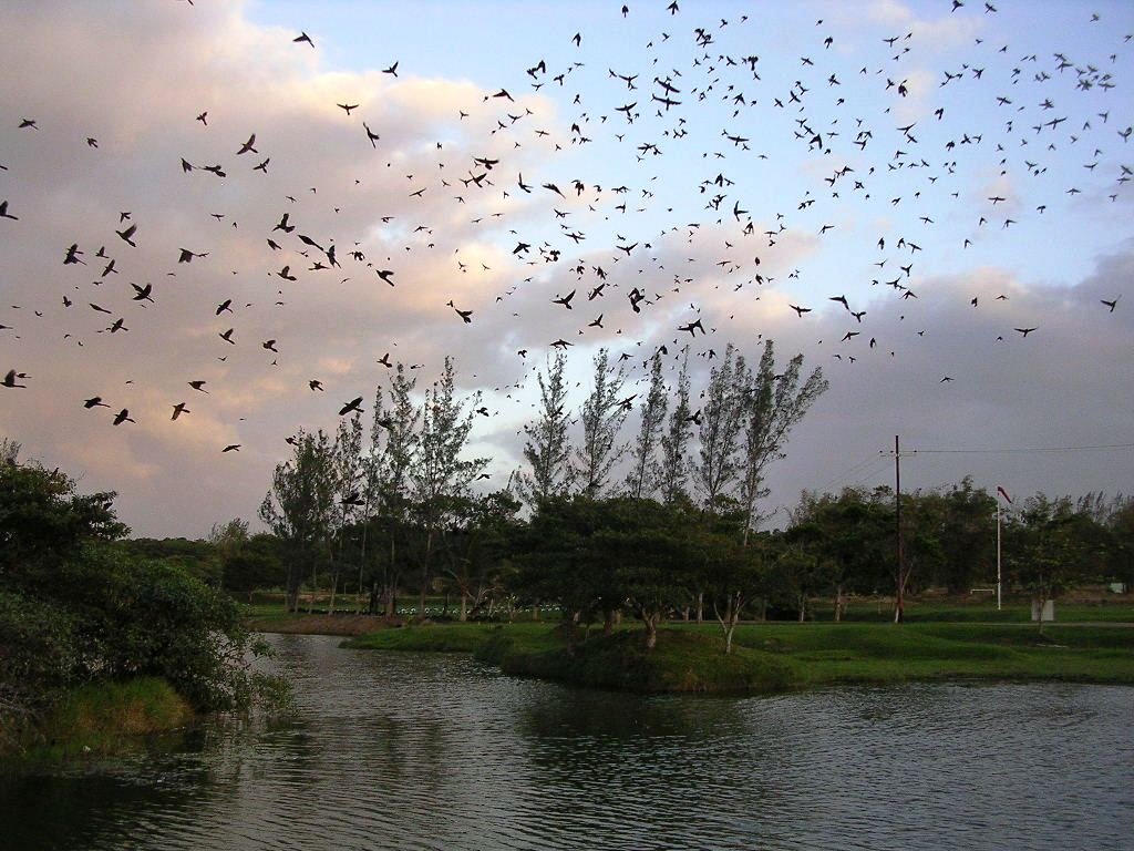 ADM ecological area