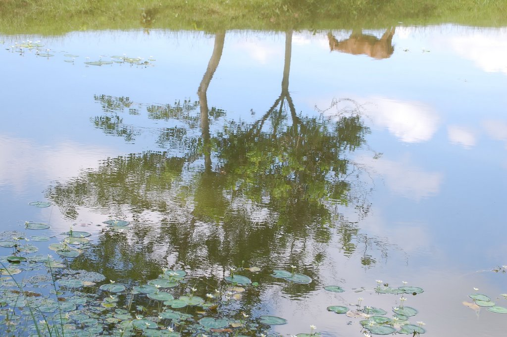 Water mirror ADM Golf course Minatitlan