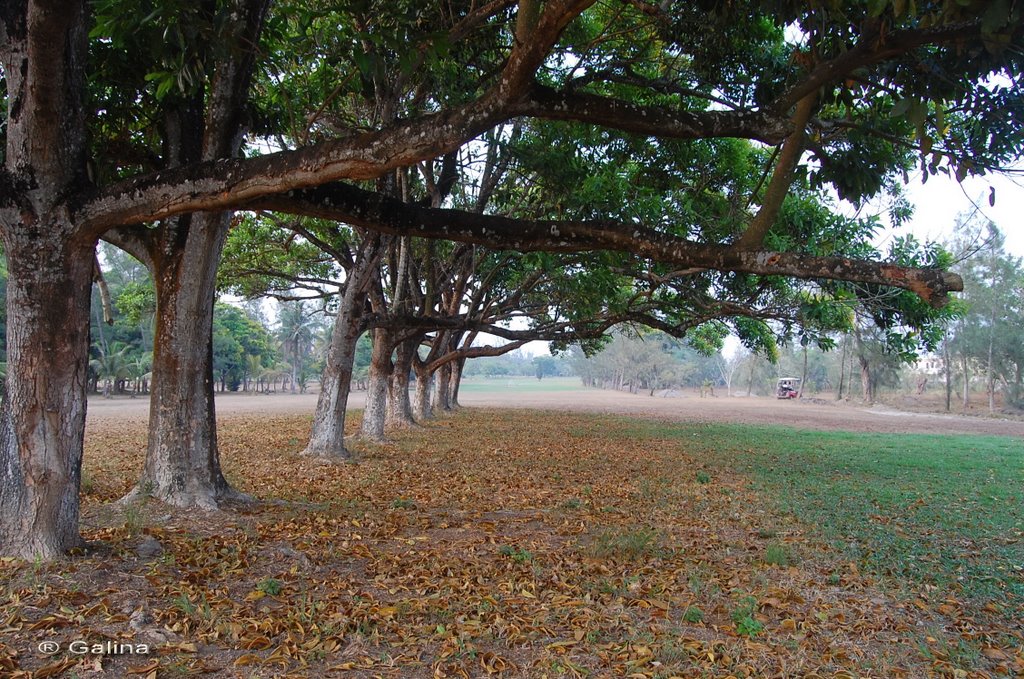 Minatitlan Golf Course