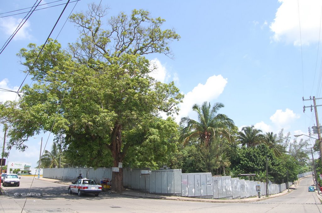 Former Col. 1° de Mayo (pemex)