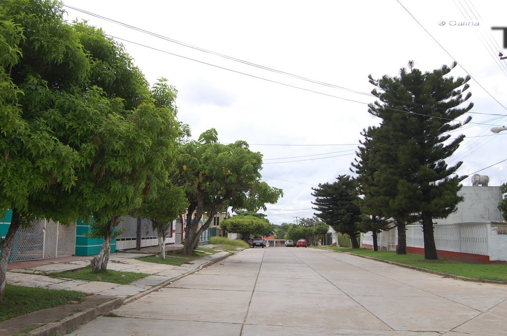 Madero St. Nva.Tacoteno. Minatitlan