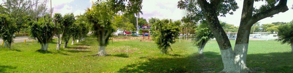 jardines de la asosciacion deportiva minatitlan (adm)