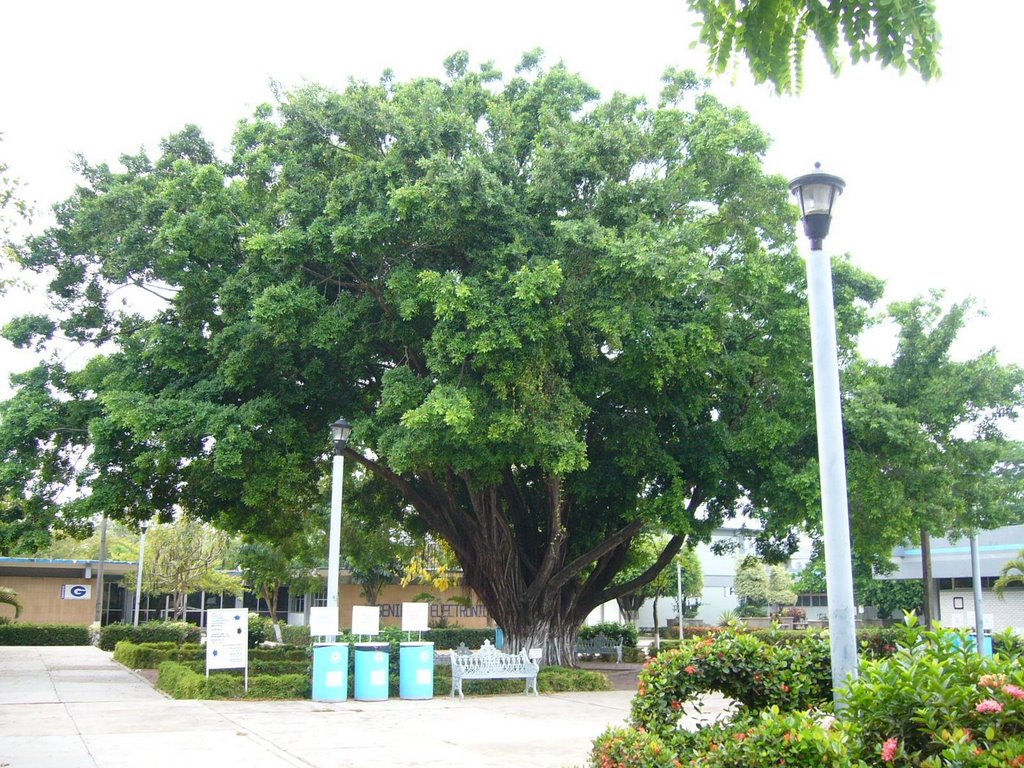 Area Central del Instituto Tecnológico de Minatitlán.