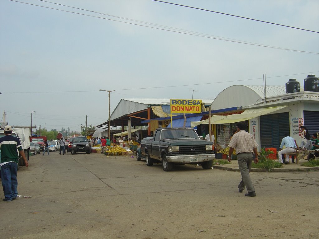 MERCADO SOLIDARIDAD