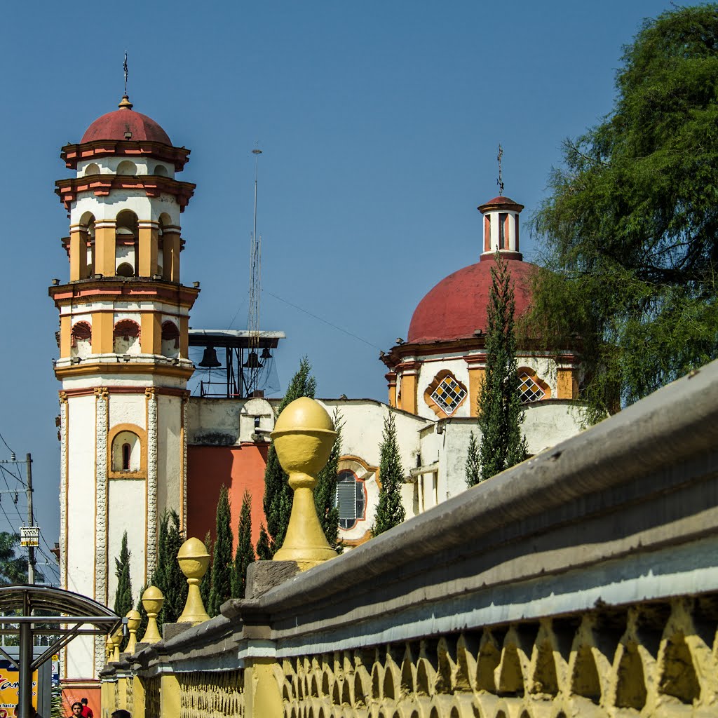 santa gertrudis