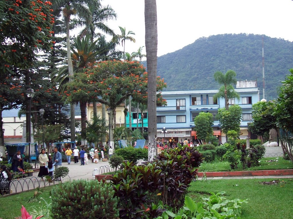 Parque Castillo