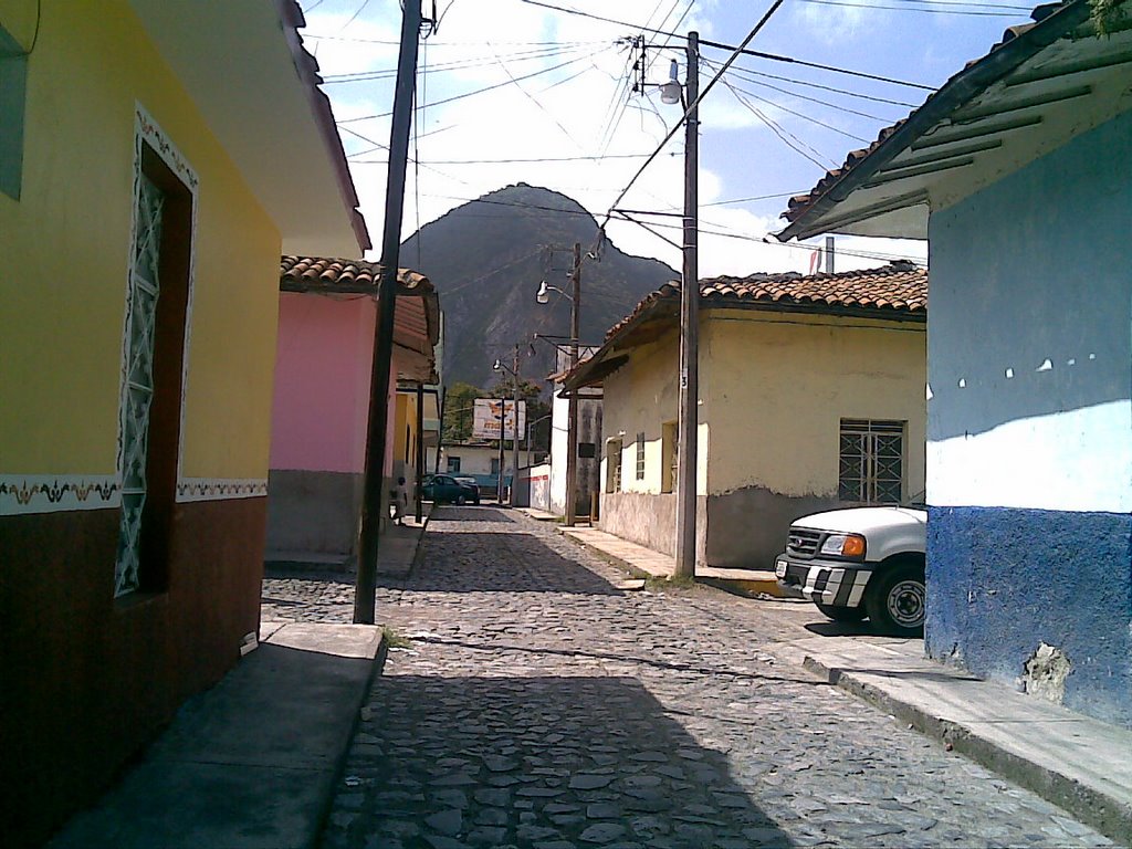 EN ORIZABA VERACRUZ (BY LION)