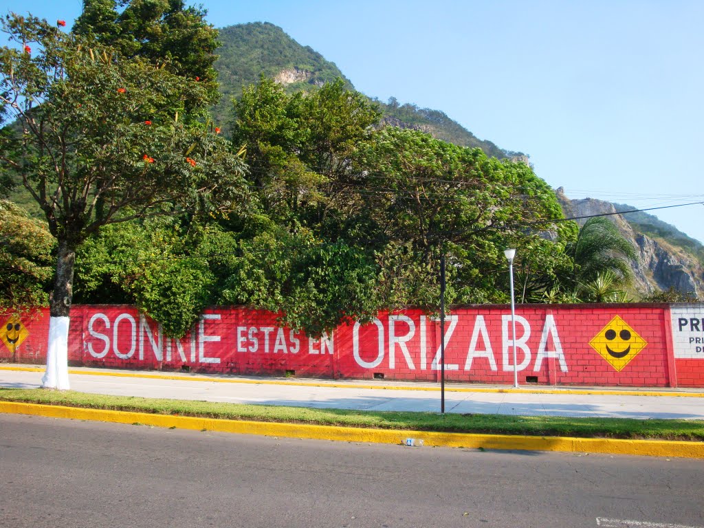 Primer ciudad mexicana en cultura vial