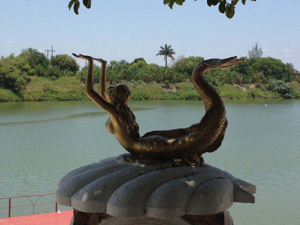 Sirena