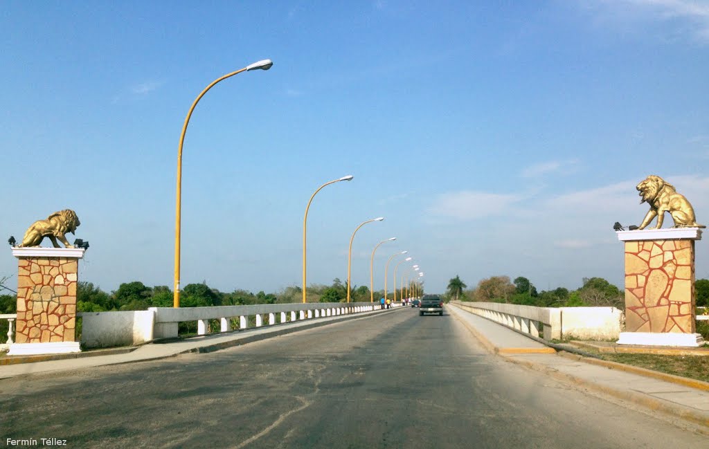 Leones en el Puente del Río Pánuco