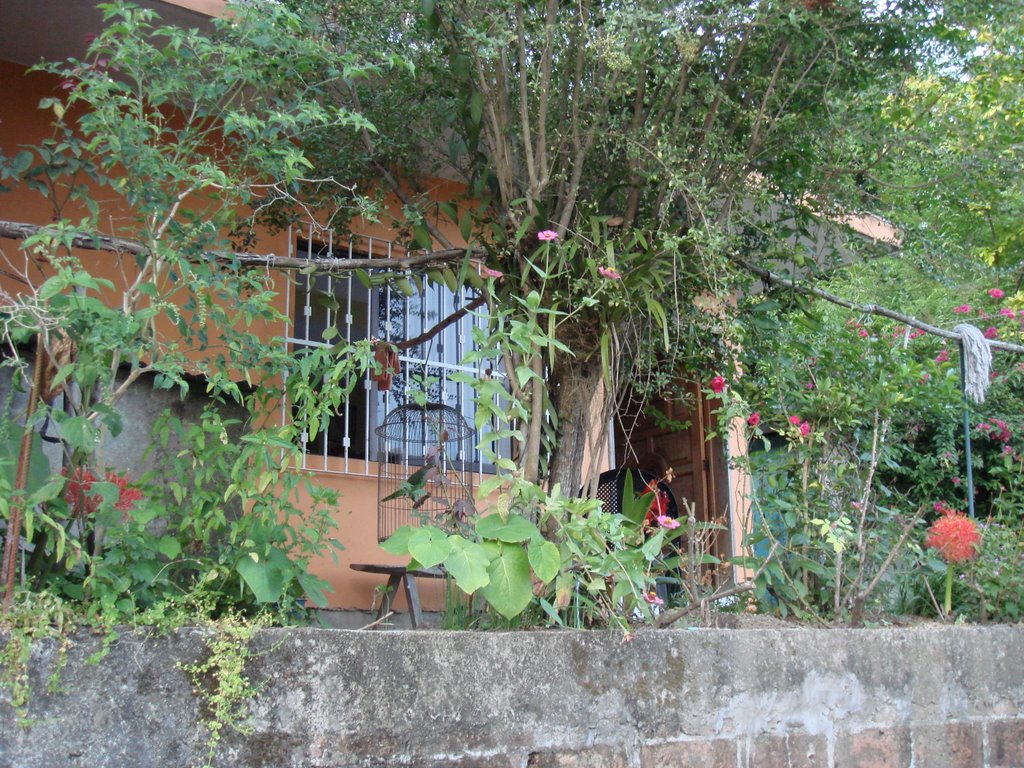 Mi casa