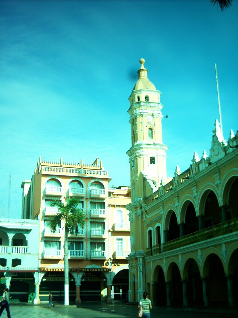Veracruz, Centro