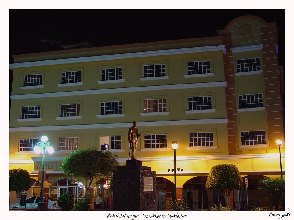 Hotel del Parque
