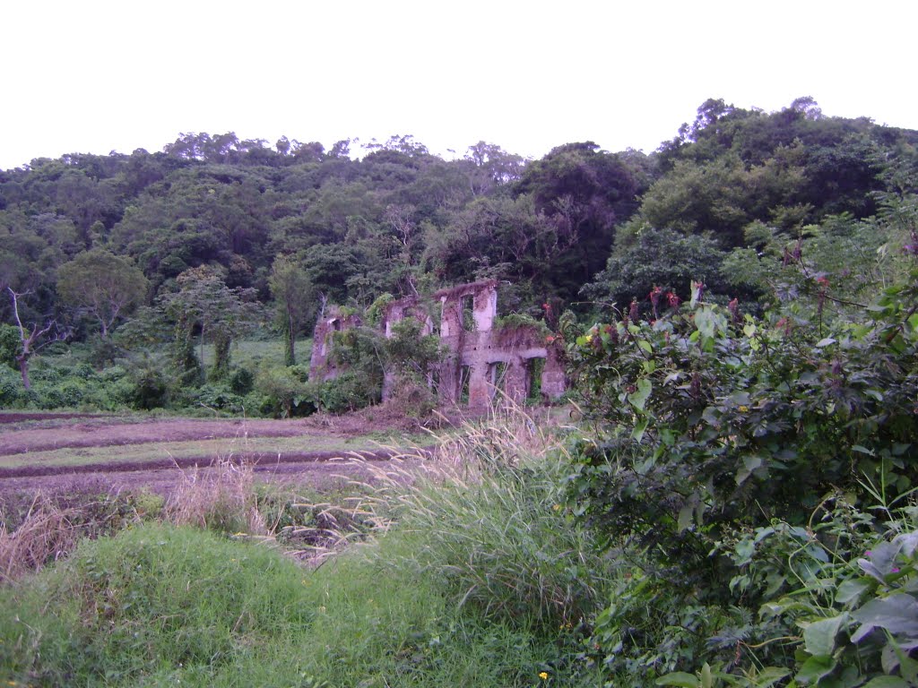 Ruinas en San Andres Tuxtla Veracruz