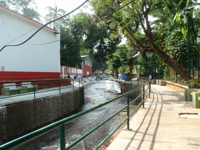Parque del Tajalate. Los Tuxtlas, Veracruz, Mexico. (Toño Rangel).