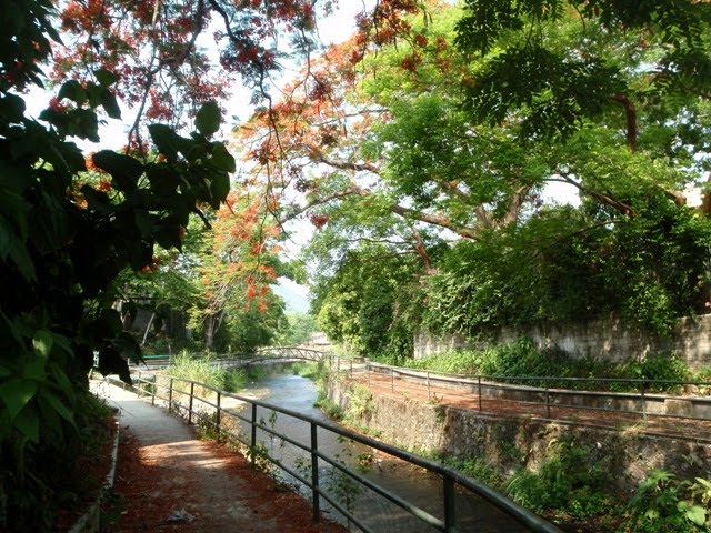 Canal del Tajalate. Los Tuxtlas, Veracruz, Mexico. (Toño Rangel).
