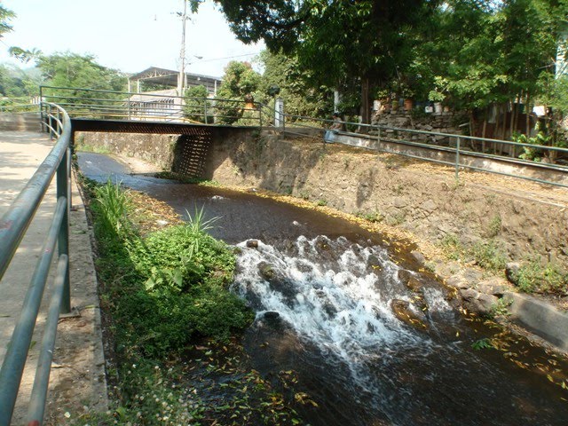 Canal del Tajalate en la entrada al Cebollal. Los Tuxtlas, Veracruz, Mexico. (Toño Rangel).
