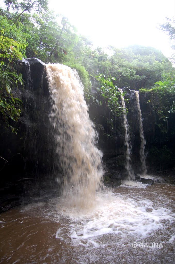 Tajalete Falls Maquina Vieja