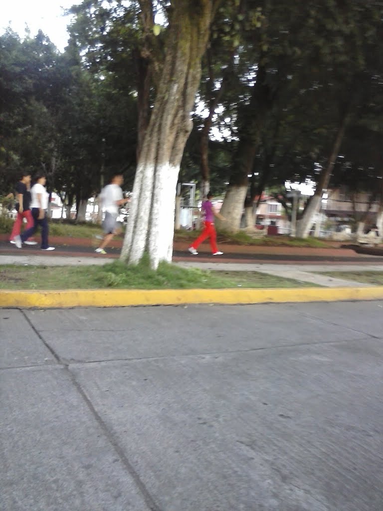 Chichipilco