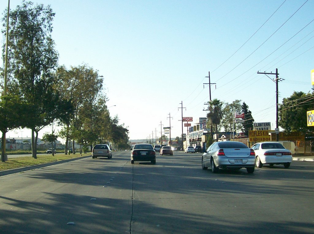 Blvd Benitez Lopez