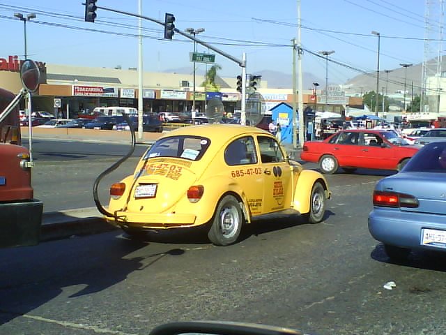 Auto Ratón