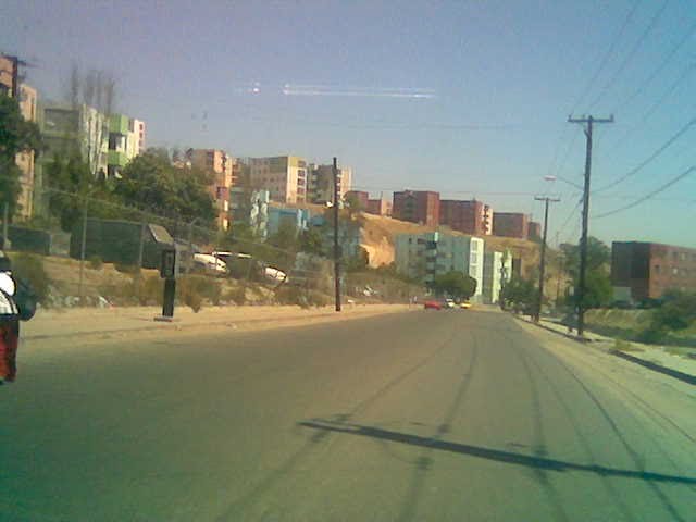 El cachanillas