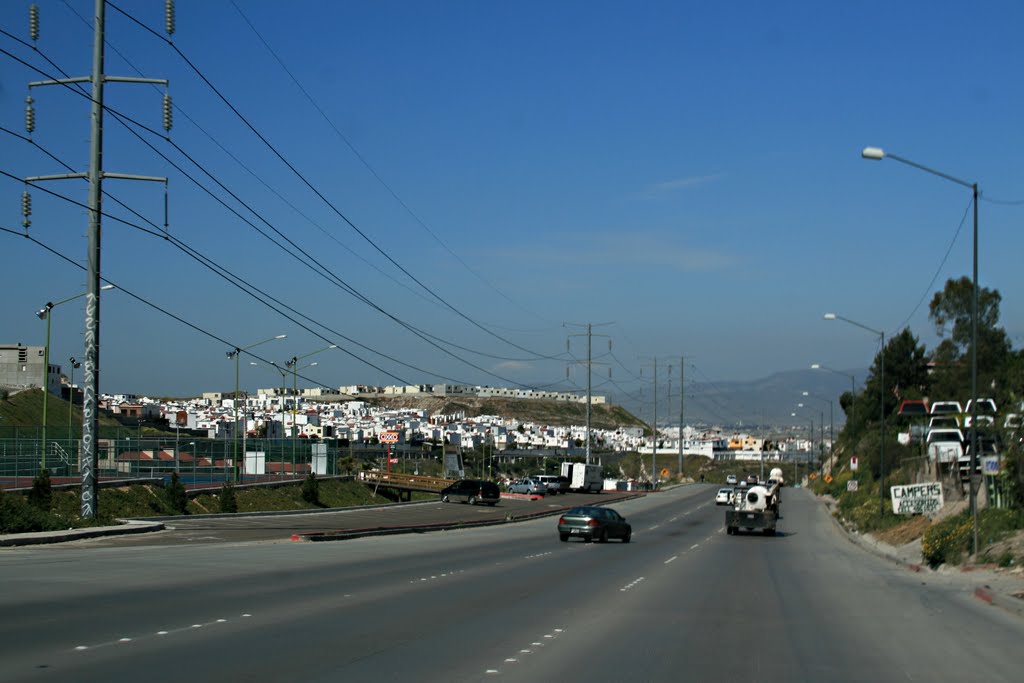 Bajando