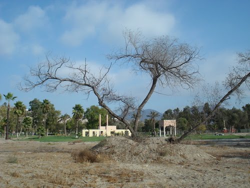 Interior Parque Morelos