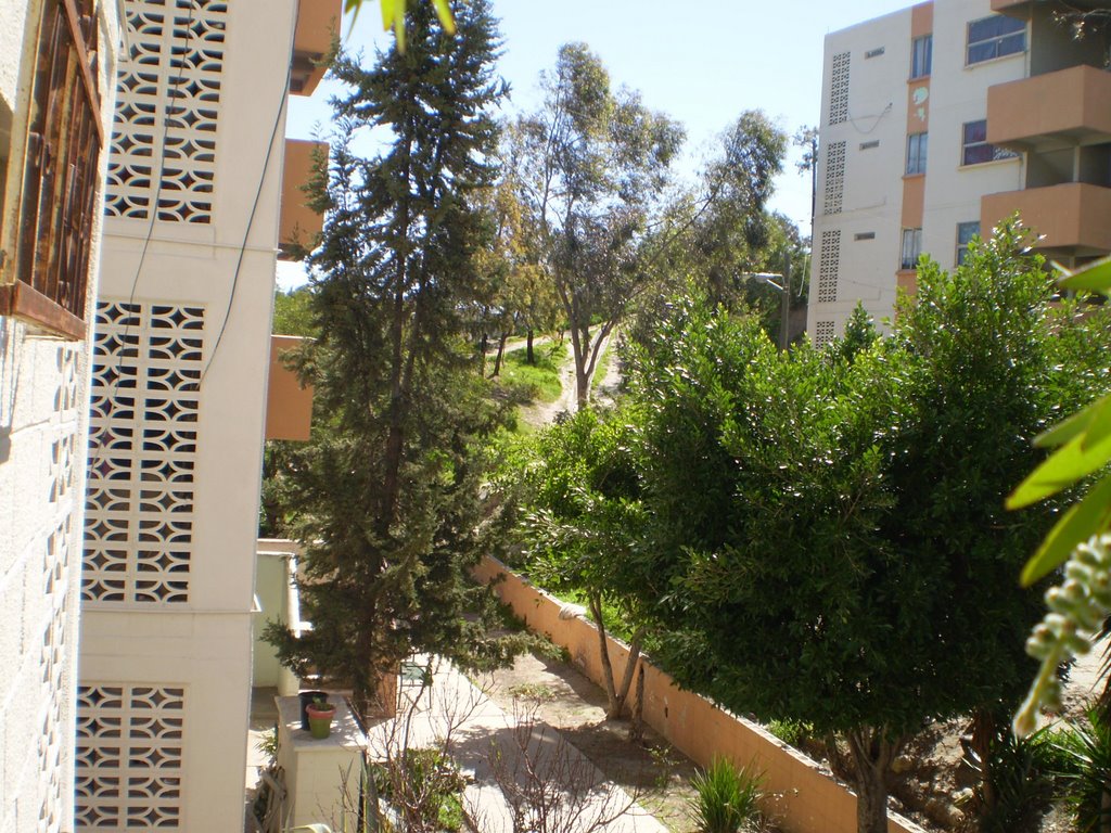 cachanila