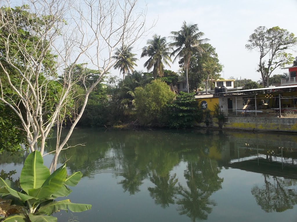 estero