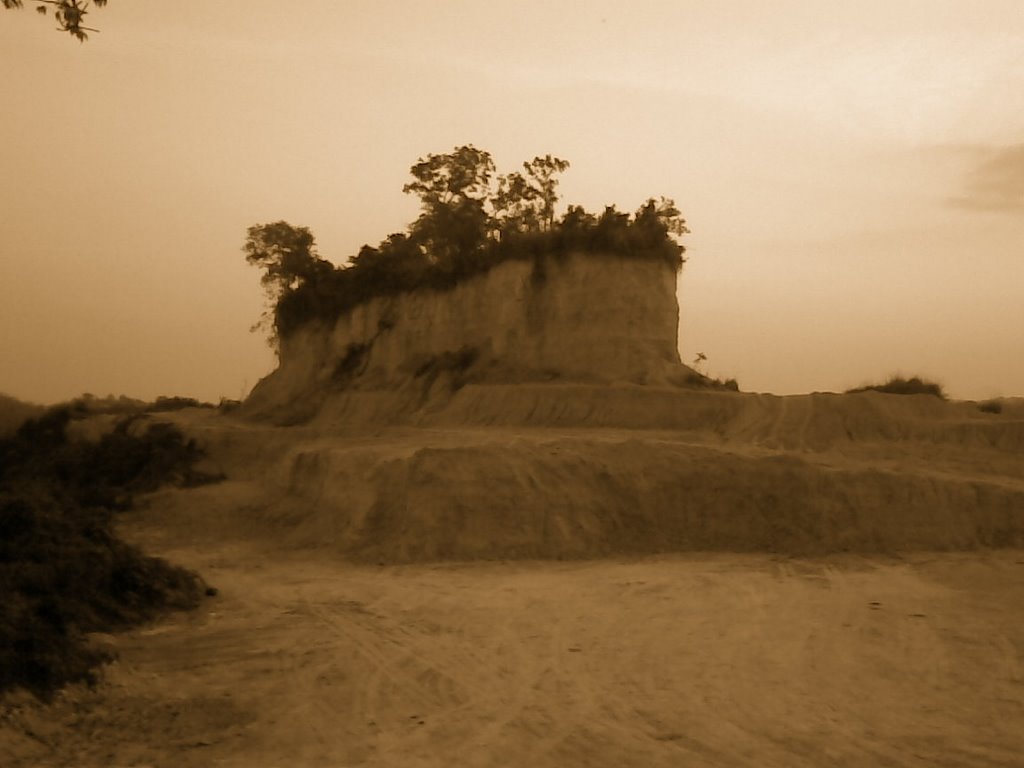 Monte Tyzock