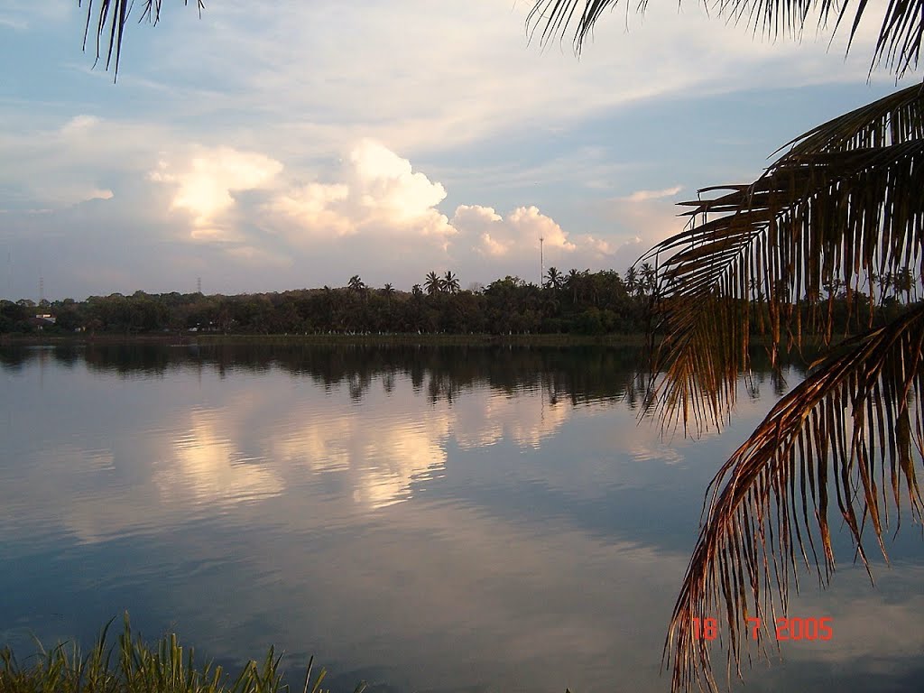 Rio Tuxpan 2005