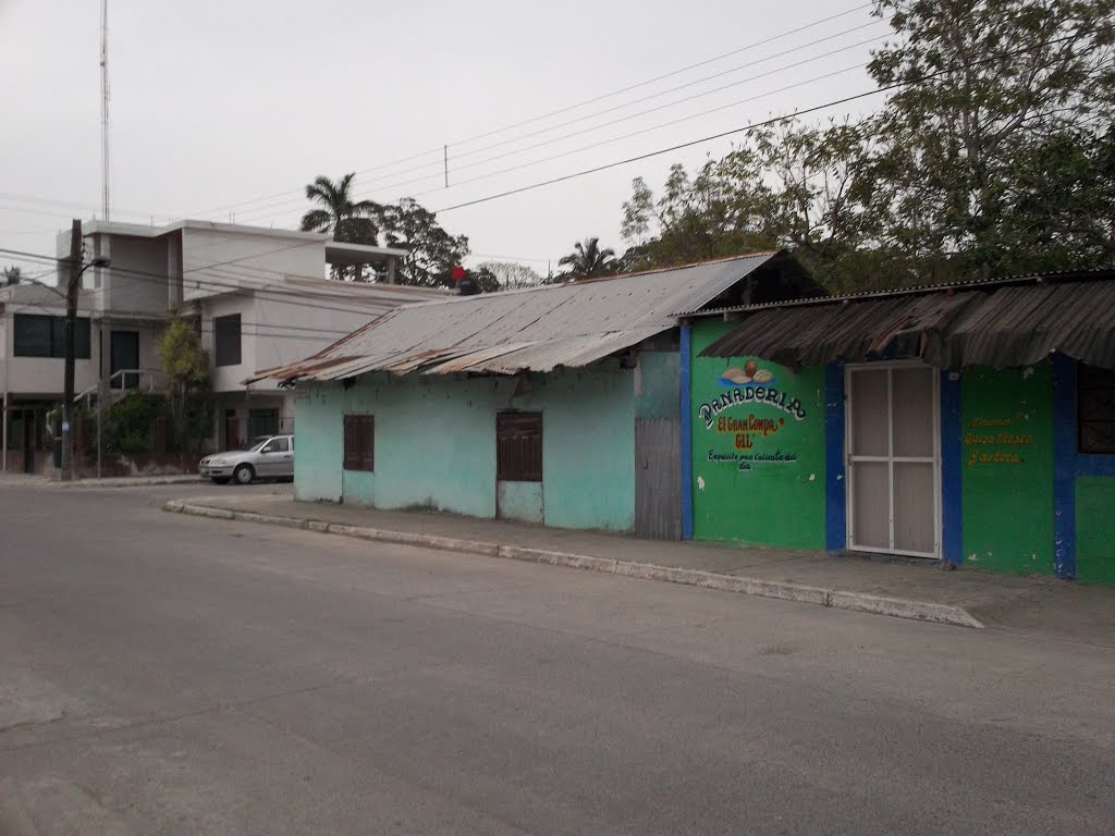 Calle Alvaro Obregon