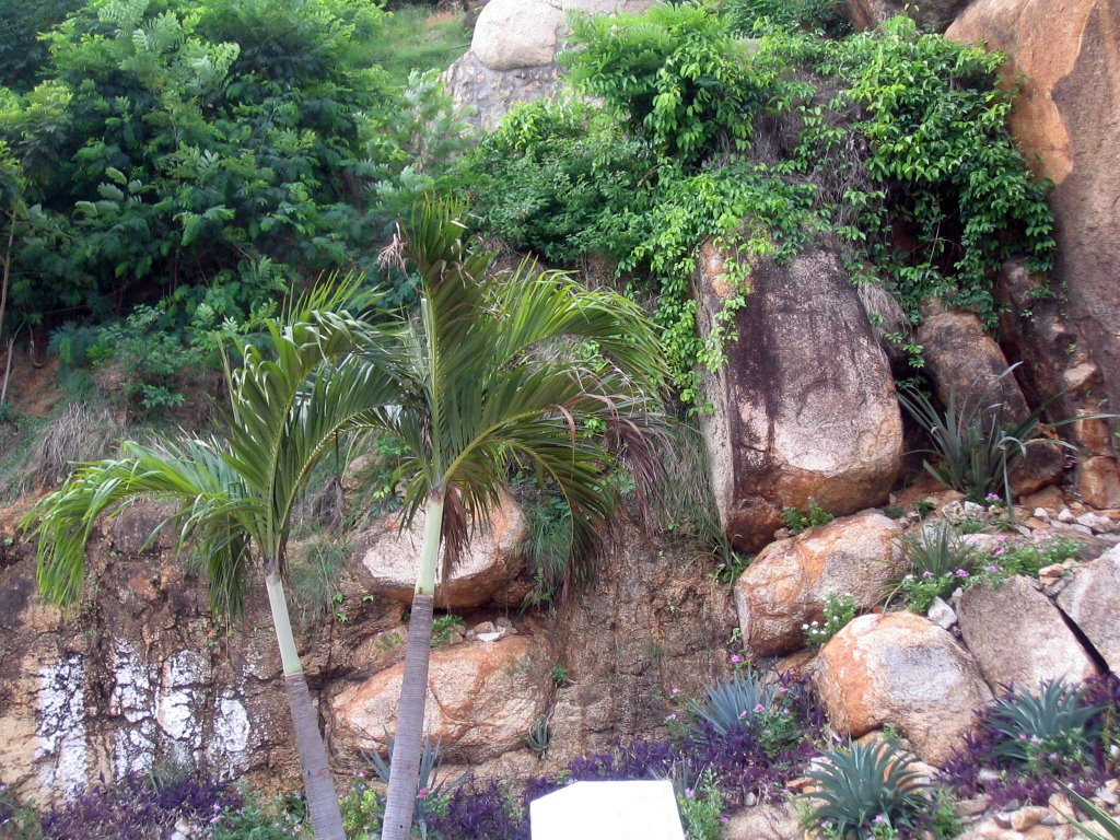 Mexico-Acapulco
