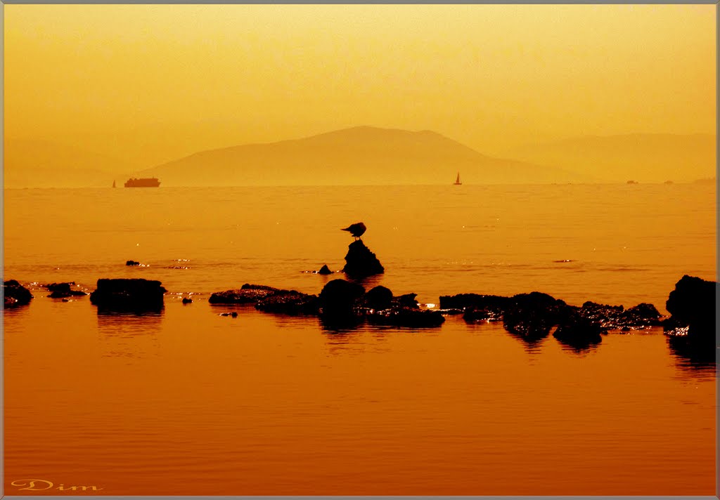 Misty  Sunset Scenery