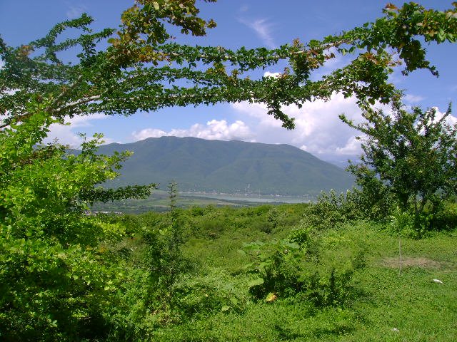 LAGUNA DE TUXPAN DESDE EL MIRADOR