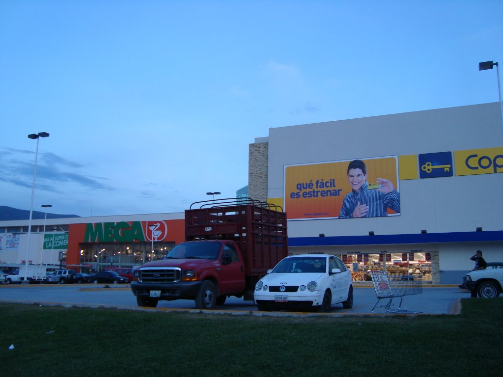 Galerias Tamarindos