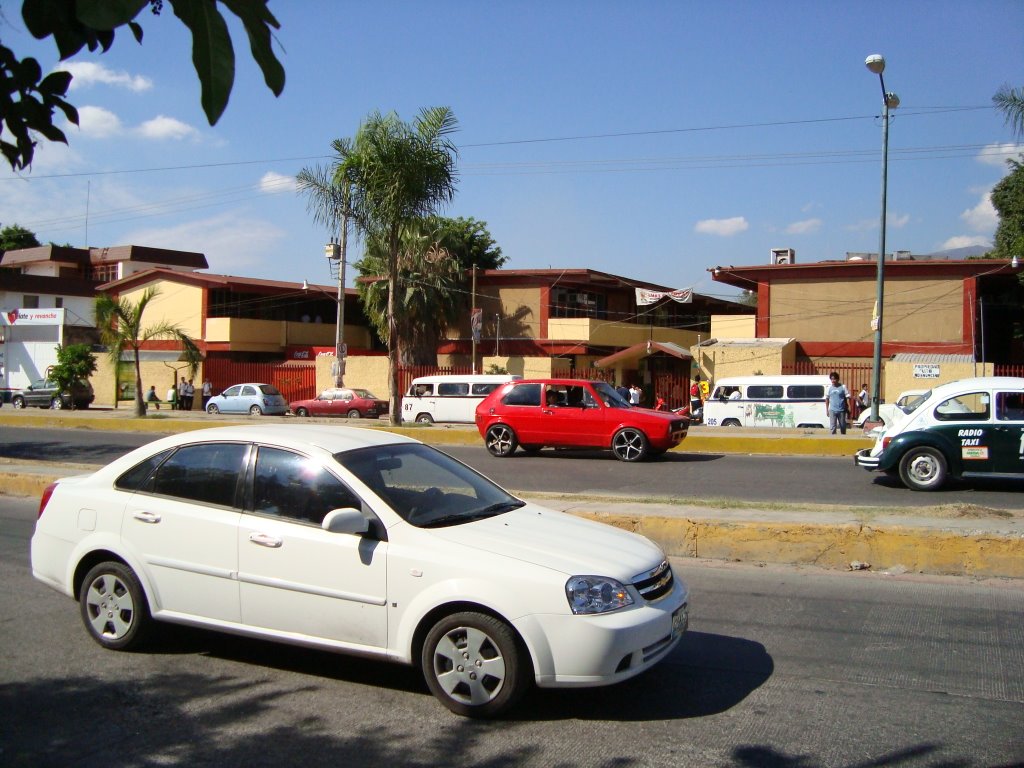 Prepa 10