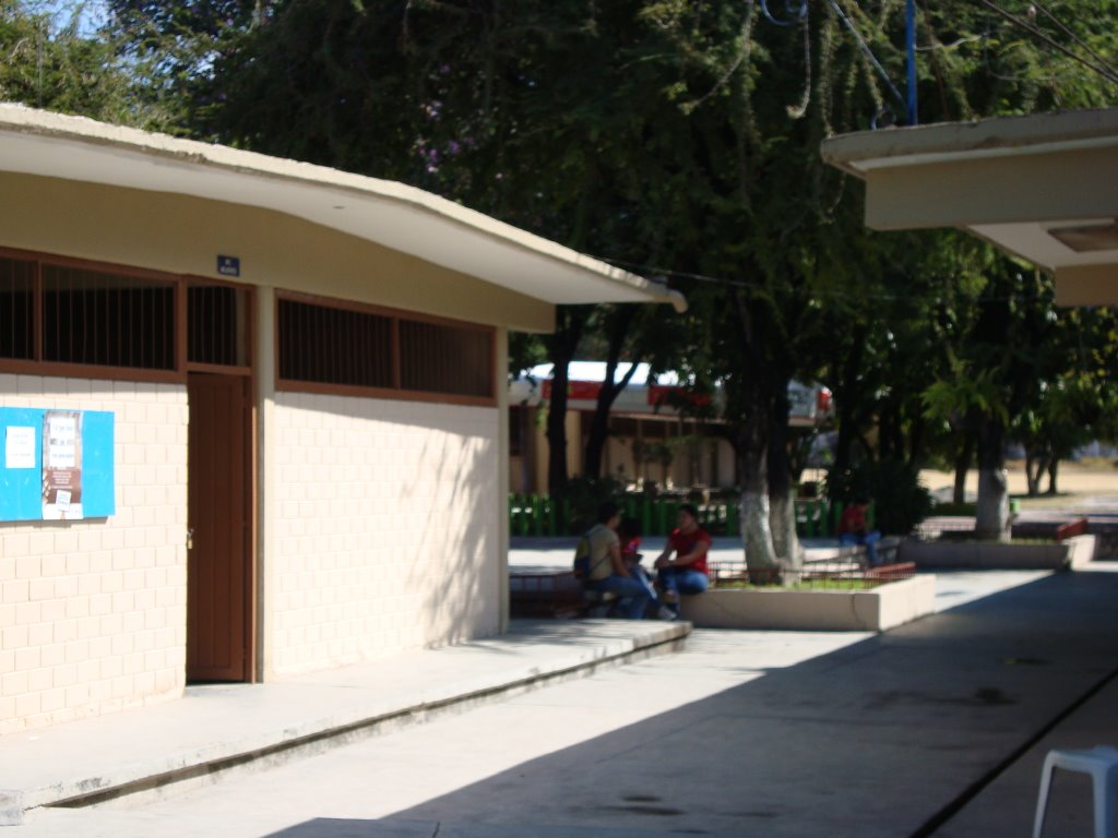 Prepa 24