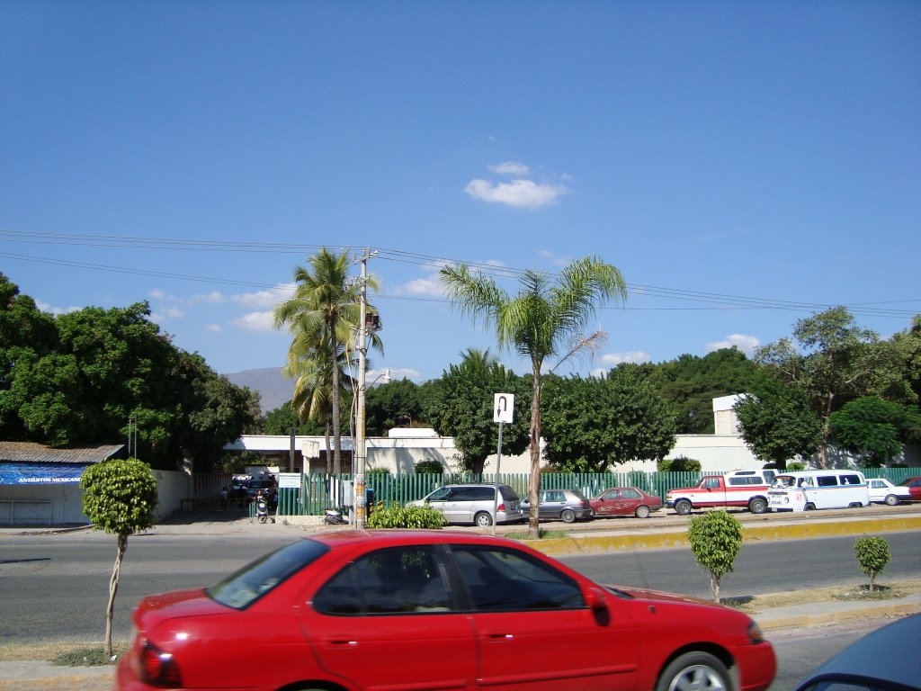 Seguro Social