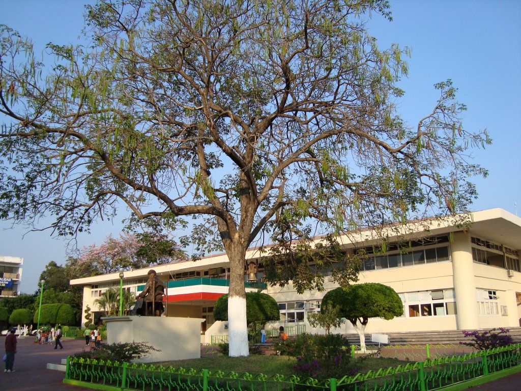 Palacio Municipal