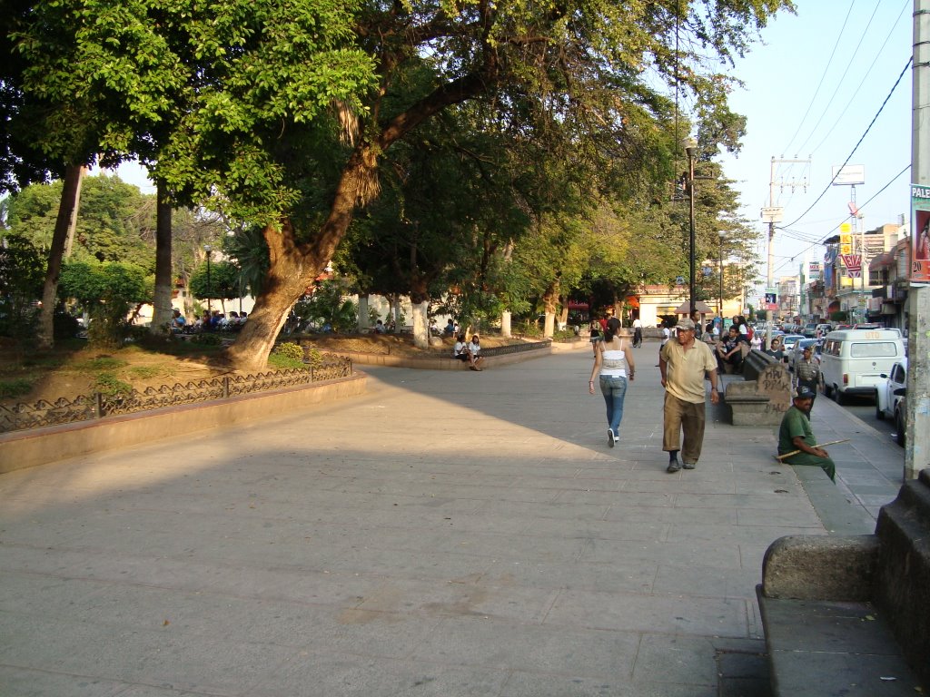Caminando