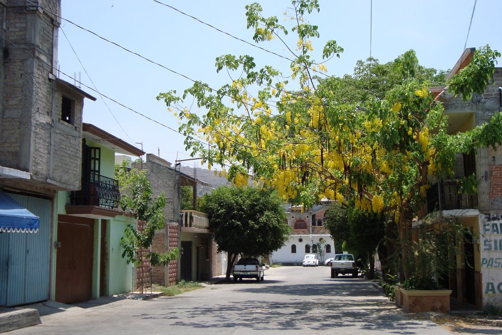 calle con lluvia de oro
