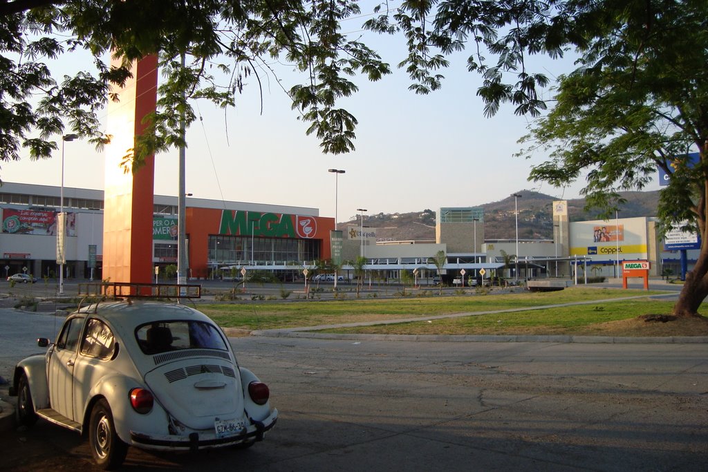 Centro Comercial en Iguala
