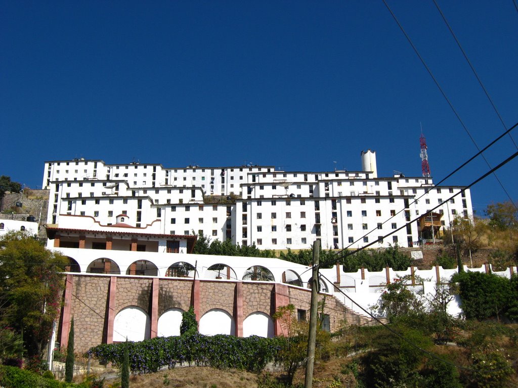 LOS NUEVOS PALOMARES