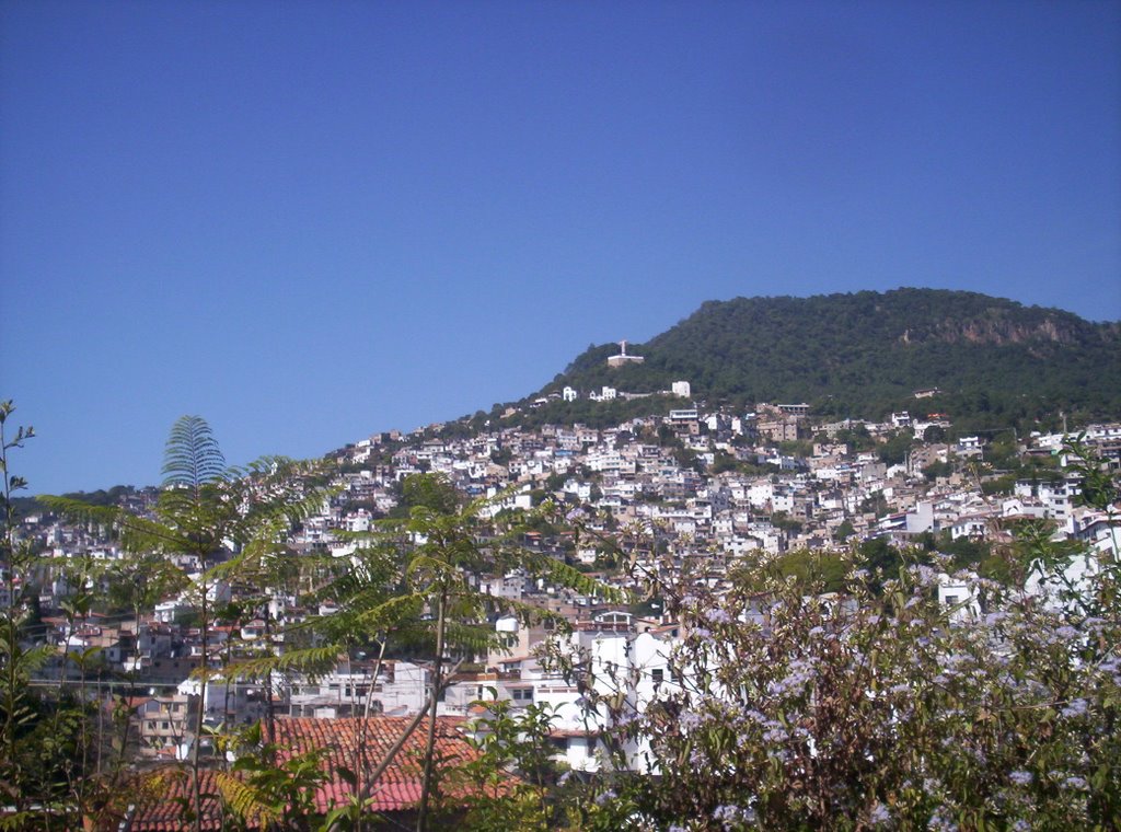 Taxco de Alarcon