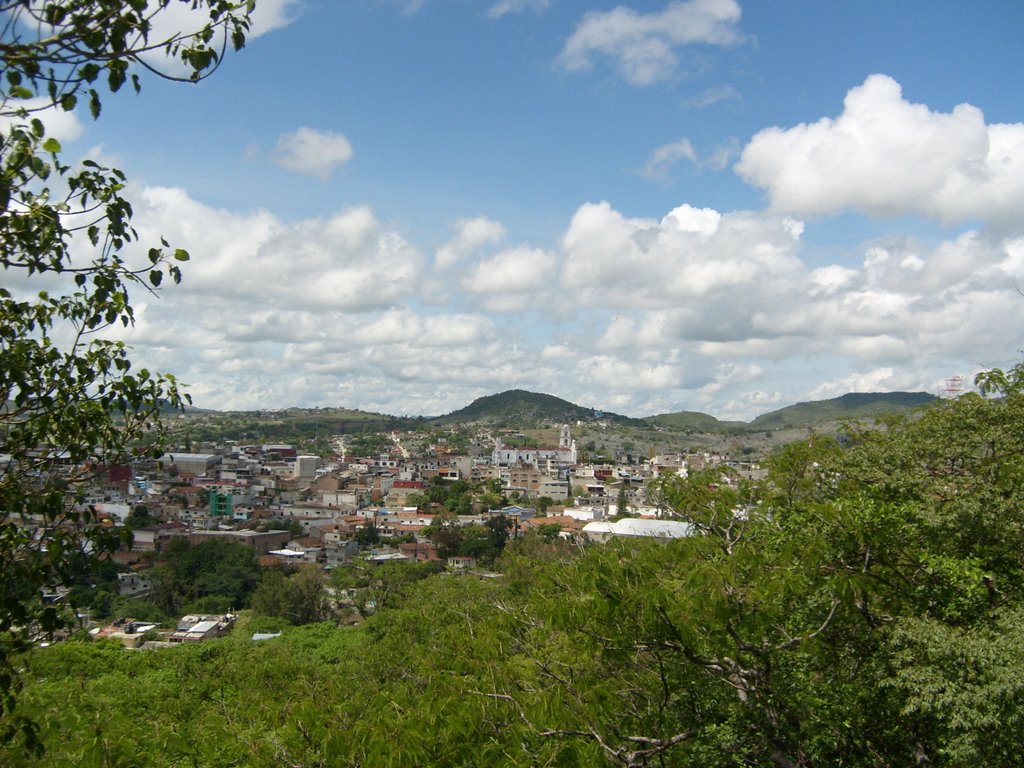 Teloloapan, Postal