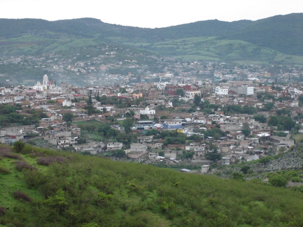 telo panoramica