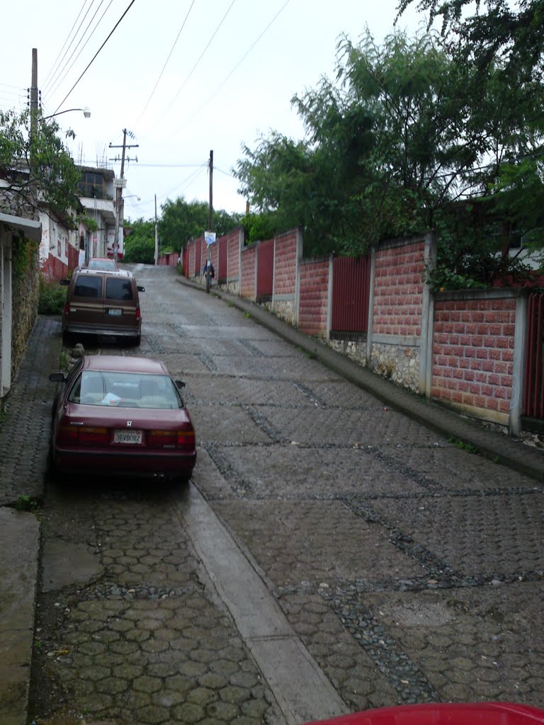 calle maria de la luz rumbo a la prepa