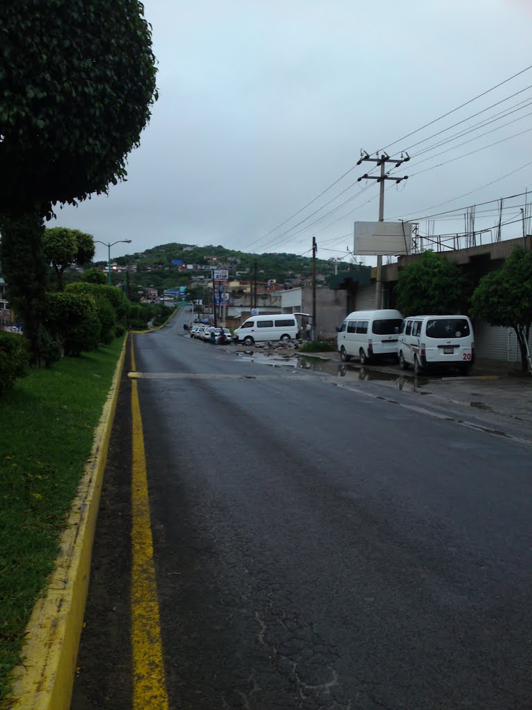 CALZADA CLUB DE LEONES 2
